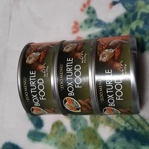 Box turtle food